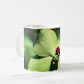 Ladybug op Dogwood Flower Persoonlijk Koffiemok (Voorkant links)