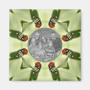 Ladybug op Dogwood Natuur Uw foto toevoegen Magneet