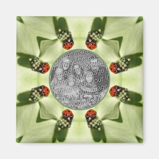 Ladybug op Dogwood Natuur Uw foto toevoegen Magneet (Voorkant)