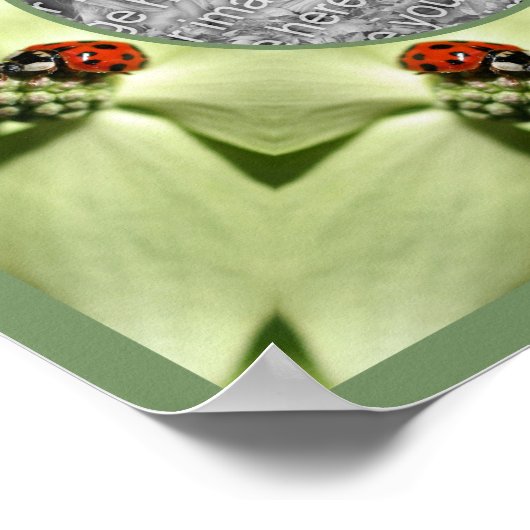 Ladybug op Dogwood Natuur Uw foto toevoegen Poster (Hoek)