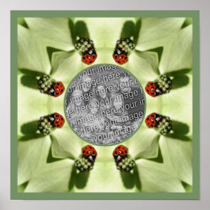 Ladybug op Dogwood Natuur Uw foto toevoegen Poster