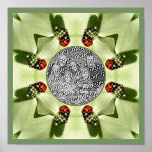 Ladybug op Dogwood Natuur Uw foto toevoegen Poster (Voorkant)