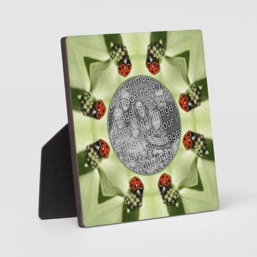 Ladybug op Dogwood Natuur Voeg je eigen foto toe Fotoplaat (Voorkant)