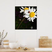 Ladybug op een Daisy Poster (Keuken)
