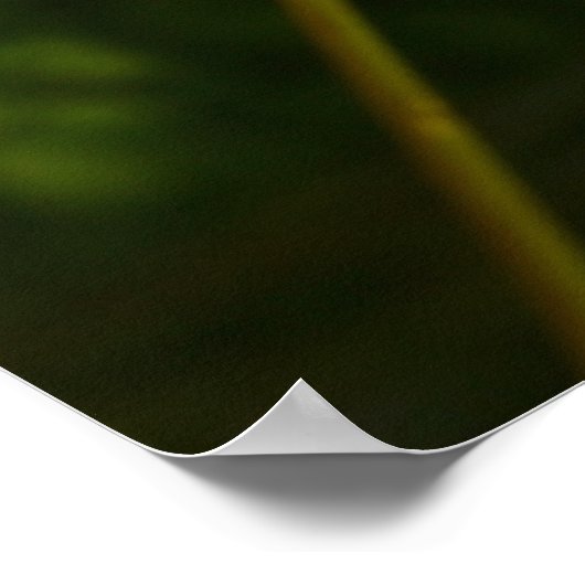 Ladybug op een Daisy Poster (Hoek)