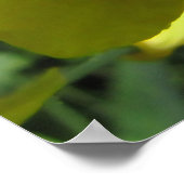 Ladybug op een gele ventilator poster (Hoek)