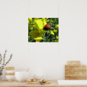 Ladybug op een gele ventilator poster (Keuken)