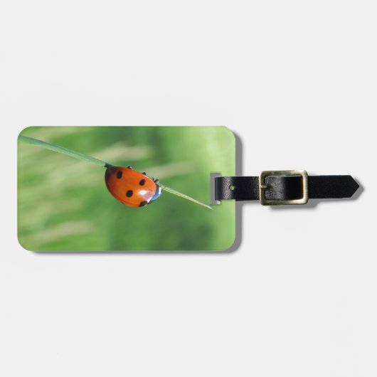 Ladybug op een grasspriet bagagelabel (Voorkant horizontaal)