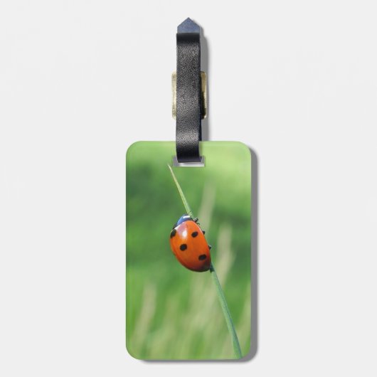 Ladybug op een grasspriet bagagelabel (Achterkant verticaal)