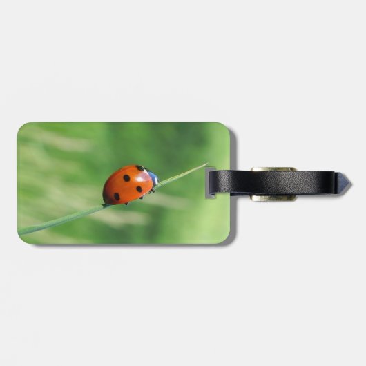 Ladybug op een grasspriet bagagelabel (Achterkant horizontaal)