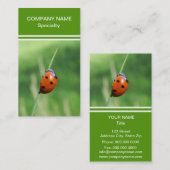 Ladybug op een grasspriet visitekaartje (Voorkant / Achterkant)