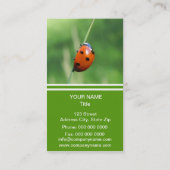 Ladybug op een grasspriet visitekaartje (Achterkant)