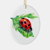 Ladybug op een groen lef keramisch ornament (Rechts)