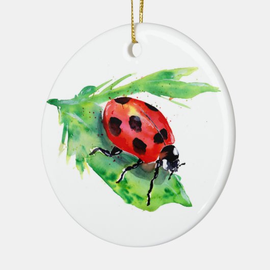 Ladybug op een groen lef keramisch ornament (Links)