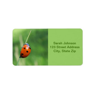 Ladybug op een lemmet graslabels etiket