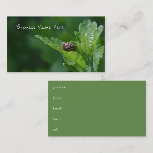 Ladybug op een Roos van Sharon Floral Beetle Visitekaartje (Voorkant / Achterkant)