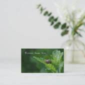 Ladybug op een Roos van Sharon Floral Beetle Visitekaartje (Staand voorkant)