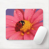 Ladybug op een roze Daisy Muismat (Met muis)