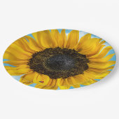 Ladybug op een zonnebloem papieren bordje (Gekanteld)