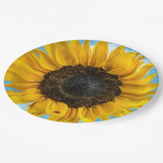 Ladybug op een zonnebloem papieren bordje (Gekanteld)