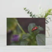 Ladybug op Flowers (Staand voorkant)