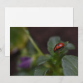 Ladybug op Flowers (Voorkant / Achterkant)