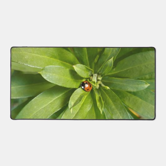 Ladybug op Flowers Bureaumat (Voorkant)