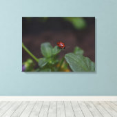 Ladybug op Flowers Canvas Afdruk (Insitu (Houten vloer))