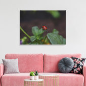 Ladybug op Flowers Canvas Afdruk (Insitu (Woonkamer))