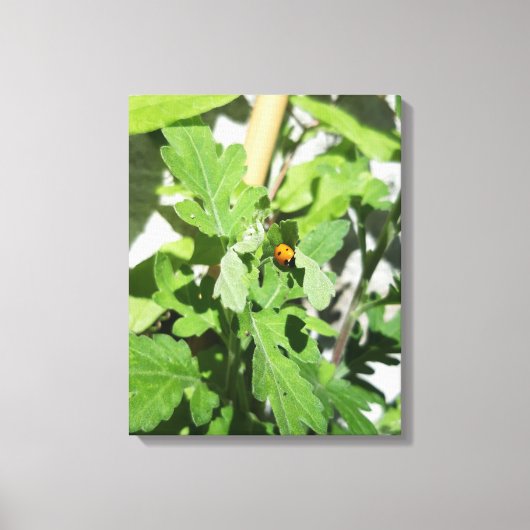 Ladybug op Flowers Canvas Afdruk (Voorkant)