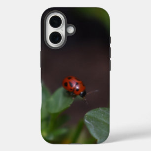Ladybug op Flowers iPhone 16 Hoesje