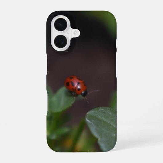Ladybug op Flowers iPhone 16 Hoesje (Achterkant)