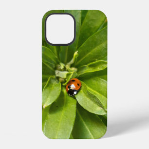 Ladybug op Flowers iPhone 12 Hoesje