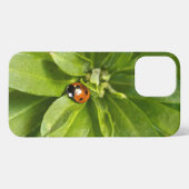 Ladybug op Flowers iPhone Hoesje (Achterkant horizontaal)
