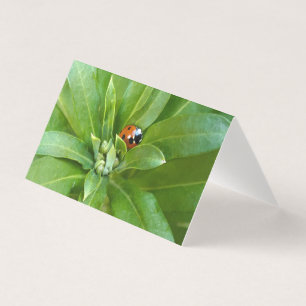 Ladybug op Flowers Kaart