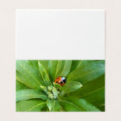 Ladybug op Flowers Kaart (Buitenkant ongevouwen)