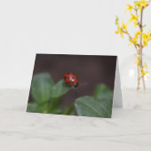 Ladybug op Flowers Kaart (Gele Bloem)