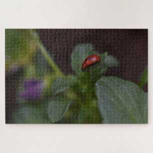 Ladybug op Flowers Legpuzzel
