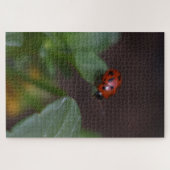 Ladybug op Flowers Legpuzzel (Horizontaal)
