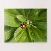 Ladybug op Flowers Legpuzzel (Horizontaal)