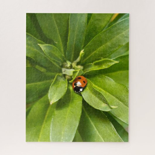 Ladybug op Flowers Legpuzzel (Verticaal)