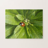 Ladybug op Flowers Legpuzzel (Horizontaal)