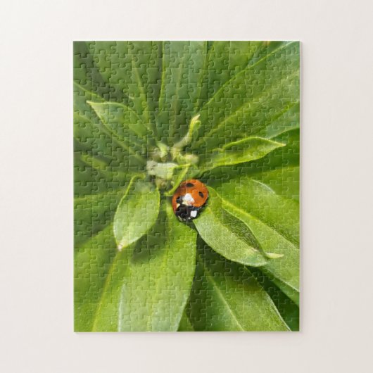 Ladybug op Flowers Legpuzzel (Verticaal)