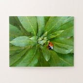 Ladybug op Flowers Legpuzzel (Horizontaal)