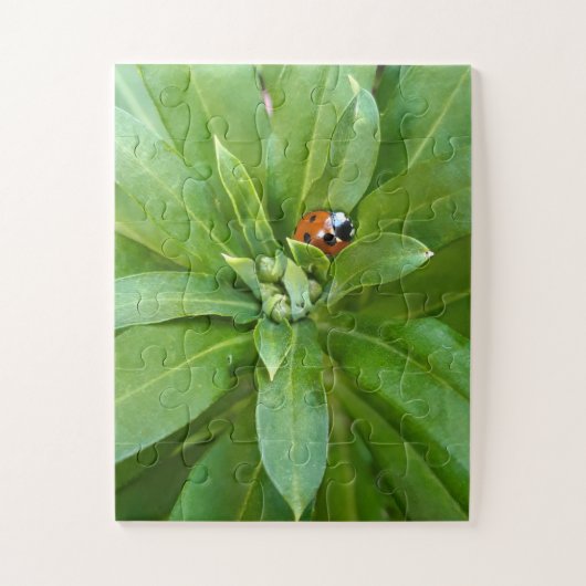 Ladybug op Flowers Legpuzzel (Verticaal)