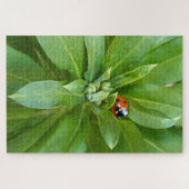 Ladybug op Flowers Legpuzzel (Horizontaal)