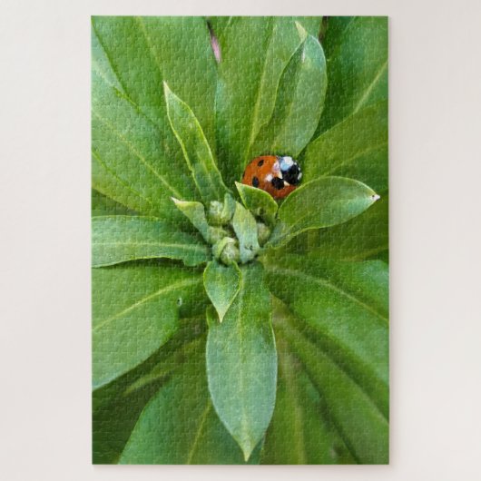 Ladybug op Flowers Legpuzzel (Verticaal)