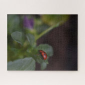 Ladybug op Flowers Legpuzzel (Horizontaal)