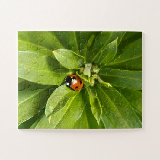 Ladybug op Flowers Legpuzzel (Horizontaal)