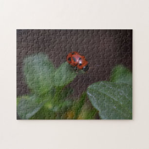 Ladybug op Flowers Legpuzzel